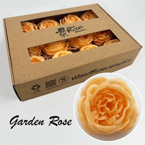 Seiden Wachs Gartenrose gelb