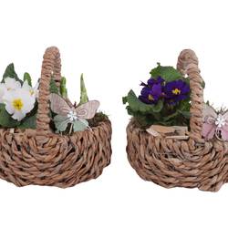 Garten.Arr mix ES621T1176 T21 H025