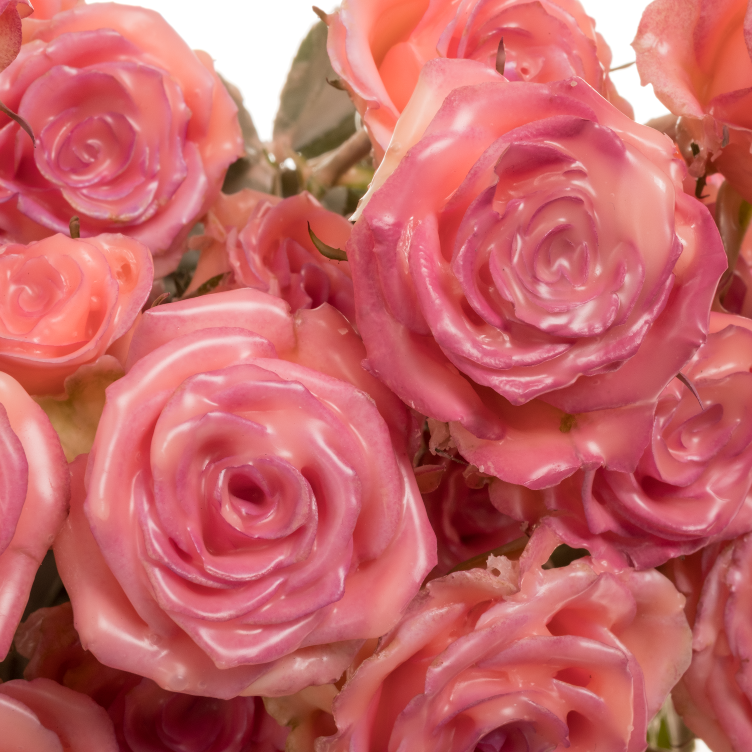 Rose verzweigt orange Wachs classic Versillia 60cm