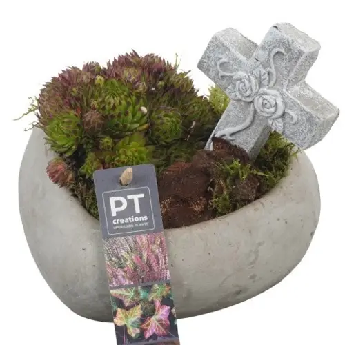 Garten.Arr PTAH8605 Allerheiligen T16 H017