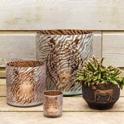 Glas Teelicht Zebra gold D15cm H15cm