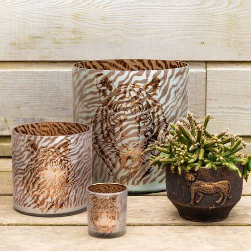 Glas Teelicht Zebra gold D15cm H15cm