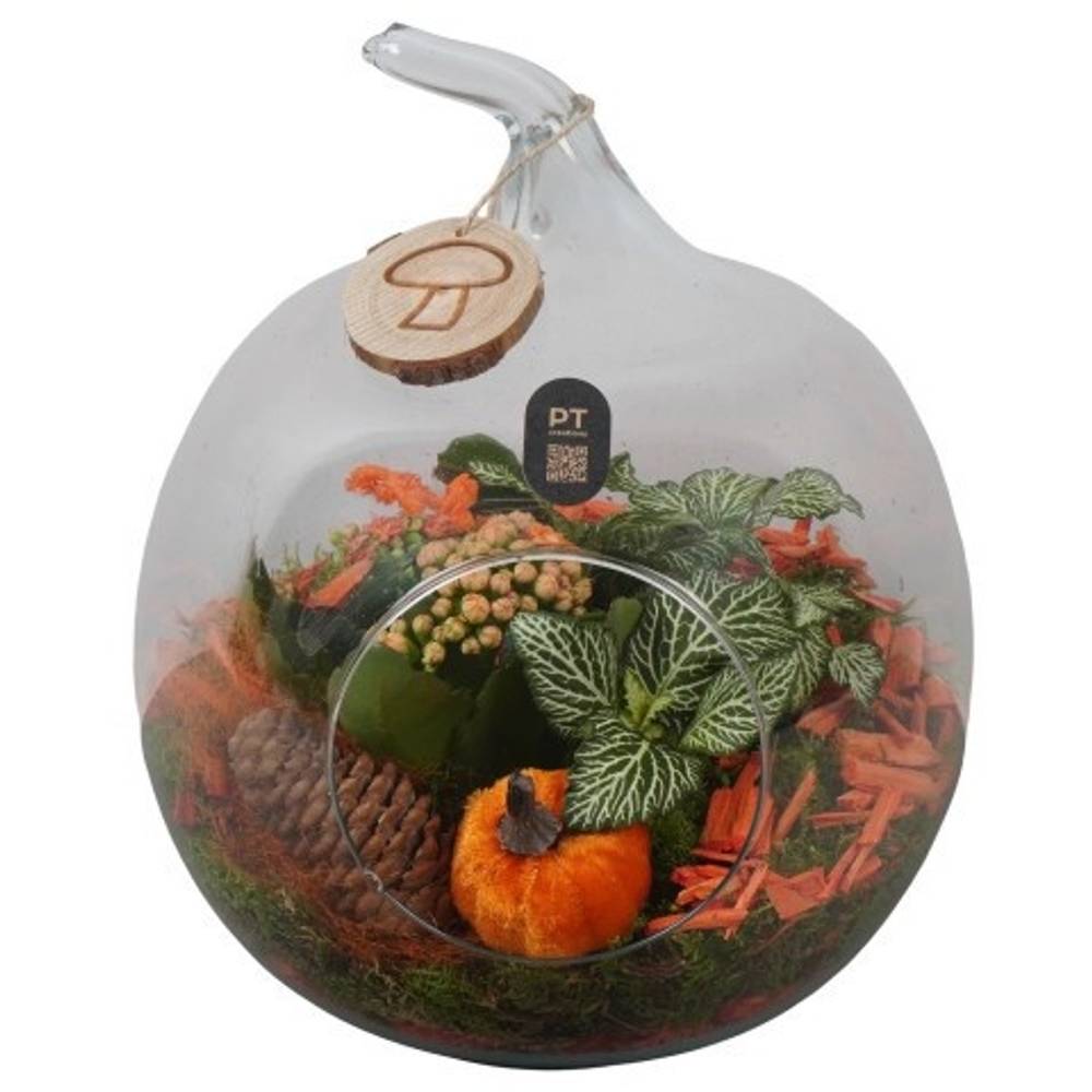 Kal.Arr PTHG8302 Herbst T19 H025