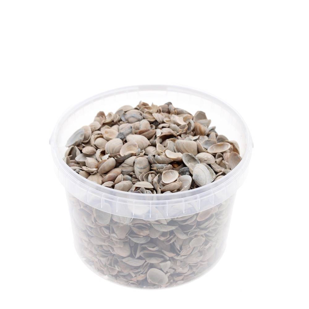 Muscheln Nordsee natur 3L
