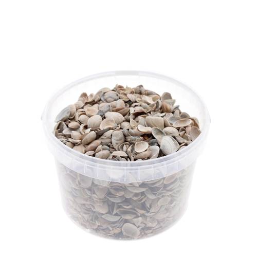 Muscheln Nordsee natur 3L