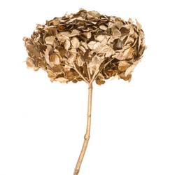 Präparierte Hortensie Metallic Gold