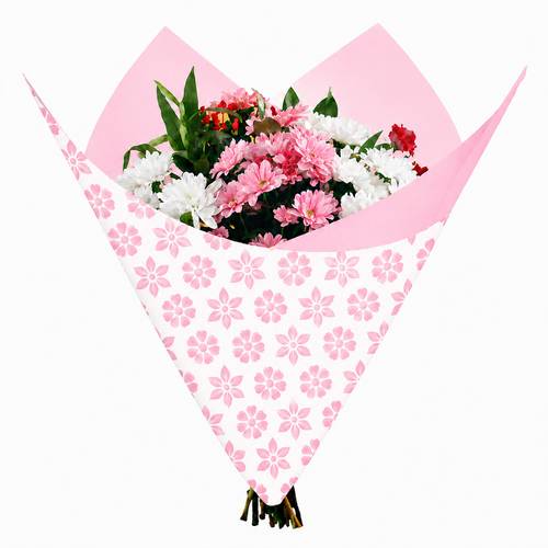 Folie Blatt Clear rosa 80x90cm x50