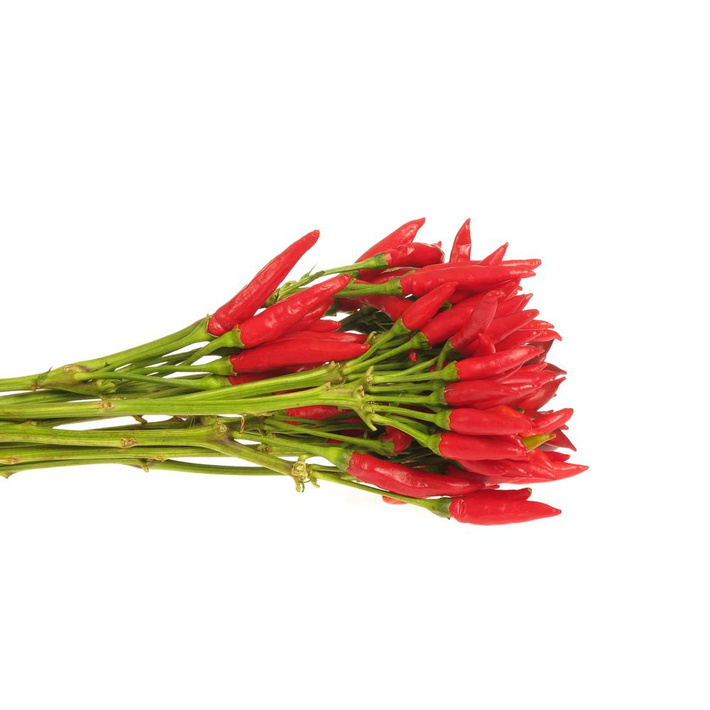 Zierpfeffer rot am Stiel 40cm 