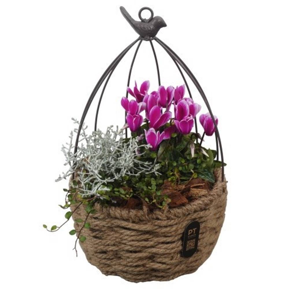 Garten.Arr PTHO7653 Herbst T20 H035