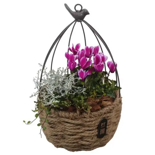 Garten.Arr PTHO7653 Herbst T20 H035