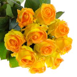 Rose gelb/orange Wachs (W25) 70cm