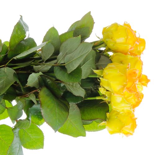 Rose gelb/orange Wachs (W25) 70cm