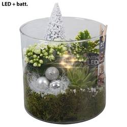 Kal.Arr PTCHW4398 Weihnachten T19 H022