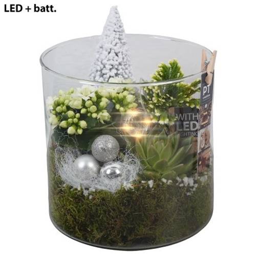 Kal.Arr PTCHW4398 Weihnachten T19 H022