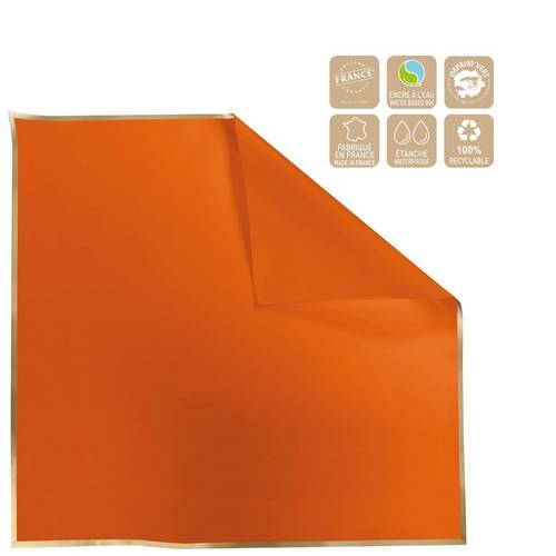 Folien Blatt 70*70cm Cachotier