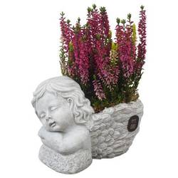 Garten.Arr PTAH3005 Allerheiligen T19 H024