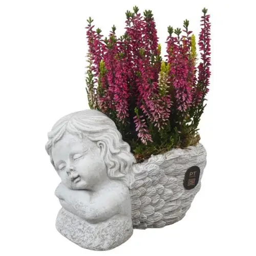 Garten.Arr PTAH3005 Allerheiligen T19 H024