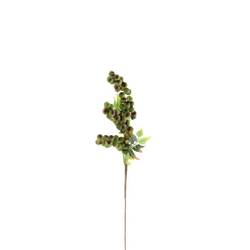Seiden Berry Sugar grün L80cm 