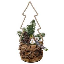 Amaryl.Arr PTACH5891 rote Bl. Weihnachten T17 H054