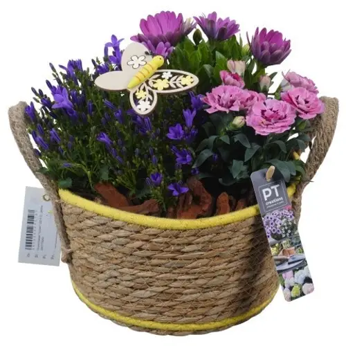Garten.Arr PTPP6944 T22 H026