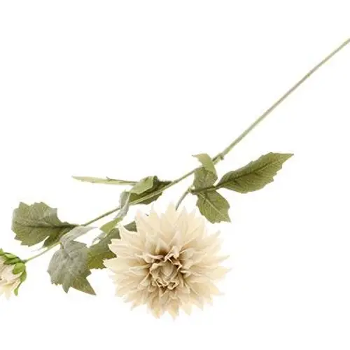 Seiden Dahlia Flora creme L65cm