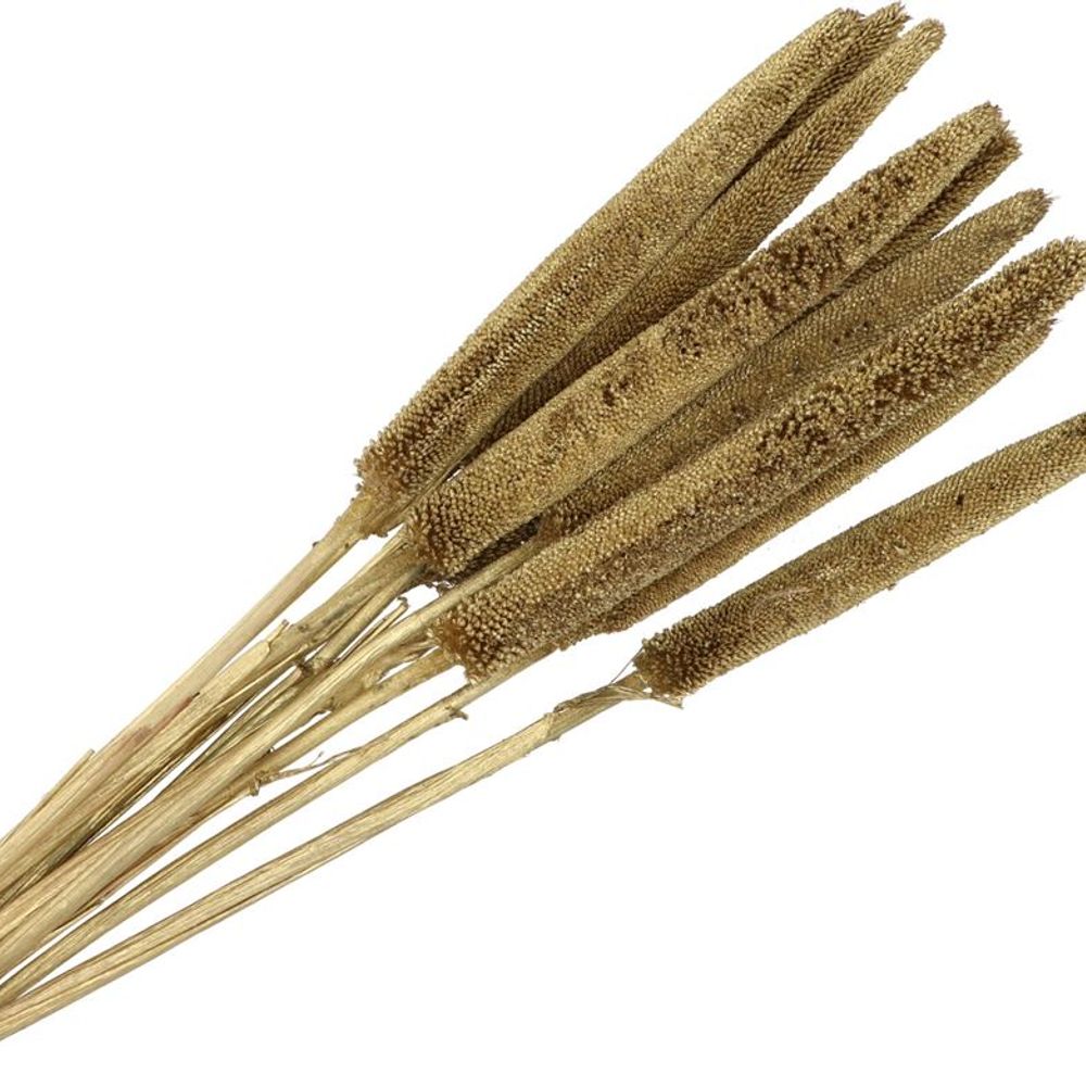 Trocken Bapala gold L60-75cm x10