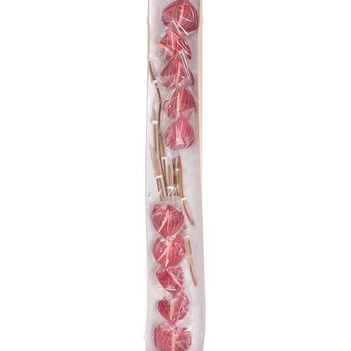Anthurium rot Safari Blüte 9cm
