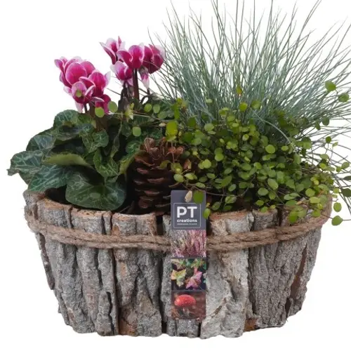 Garten.Arr PTHO4200 Herbst T29 H030