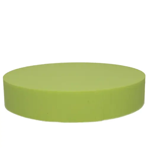 Farbe Cake lemon D25x5cm Oasis®