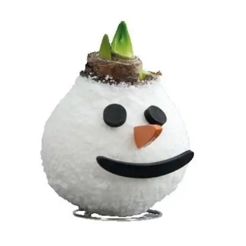 Amar.Bol Wachs Schneemann rote Bl. 32cm H022