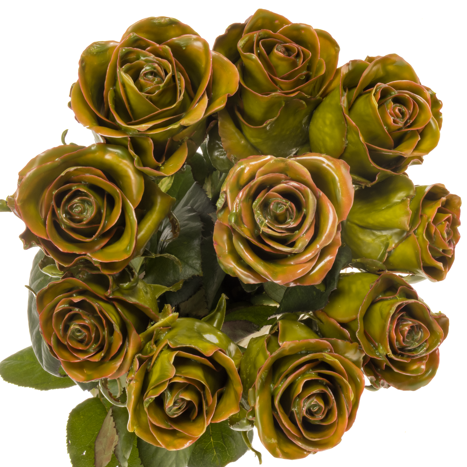 Rose grün/braun Wachs Classic Olive 60cm