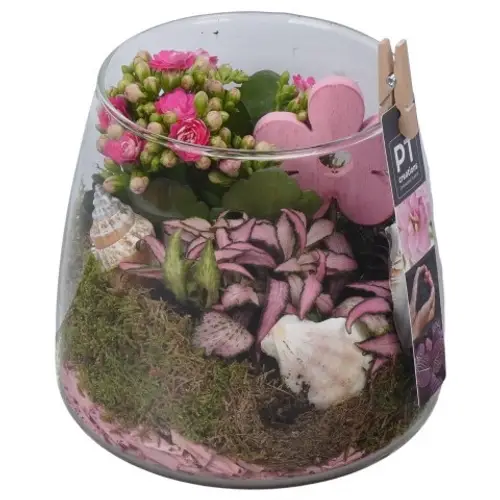 Kal.Arr PTSUT8919 T14 H019