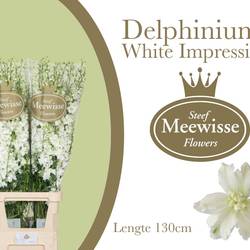 Delphinium weiss Impressive White 130