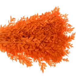 Wilder Ruskus orange gefärbt 70cm
