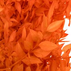 Wilder Ruskus orange gefärbt 70cm