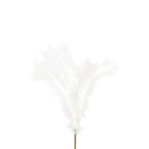 Federn auf Stab weiss L50cm x25