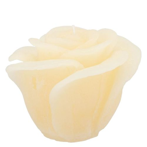 Kerze Rose creme D11cm H09cm