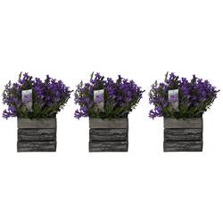 Camp.Arr blau Holztop T12 H025