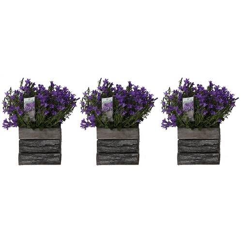 Camp.Arr blau Holztop T12 H025