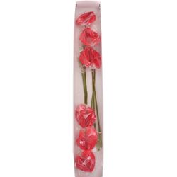 Anthurium cerise Enjoy Blüte 13cm