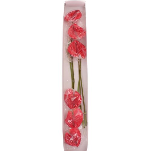 Anthurium cerise Enjoy Blüte 13cm