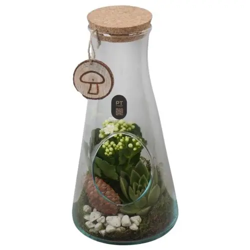 Flor.Arr PTHG8289 Herbst T13 H029