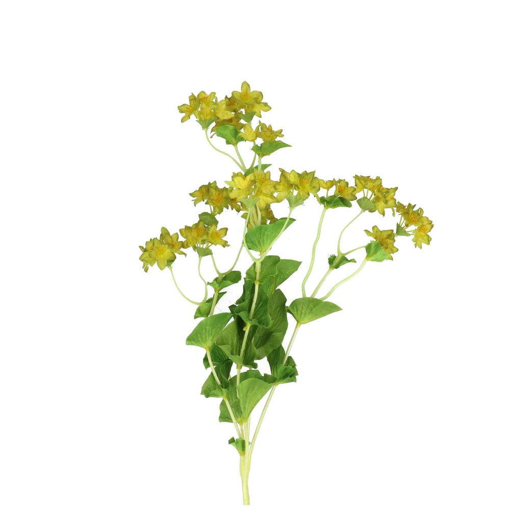 Seiden Bupleurum 75cm