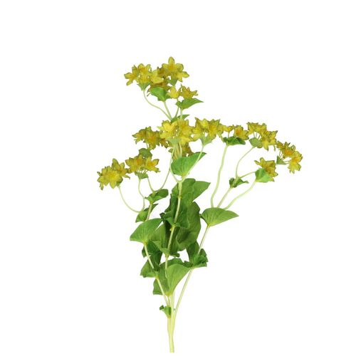 Seiden Bupleurum 75cm