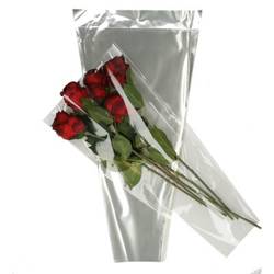 Tüte CPP30 40x30x12cm x50