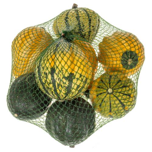 Zierkürbis mix Medium 10cm Im Netz X8