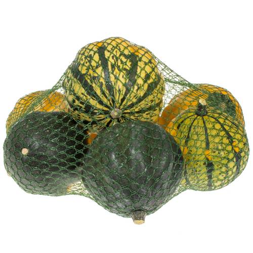 Zierkürbis mix Medium 10cm Im Netz X8