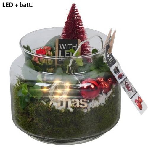 Kal.Arr PTCHR7454 Weihnachten T16 H020