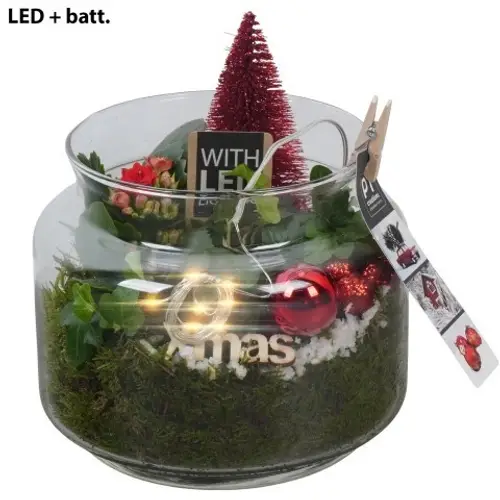 Kal.Arr PTCHR7454 Weihnachten T16 H020