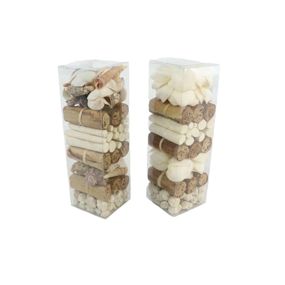 Muscheln mix 8*8*25cm